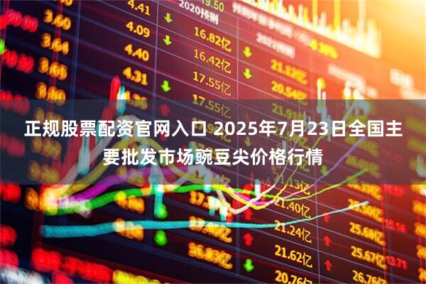 正规股票配资官网入口 2025年7月23日全国主要批发市场豌豆尖价格行情